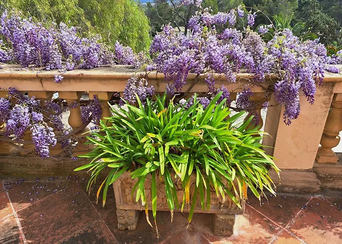 Casa De Las Vistas